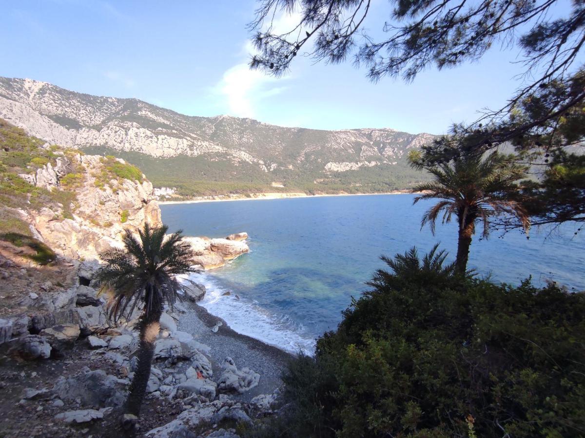 Hurmalik Apart Evleri-Very Close To The Sea Large Garden Bungalow With Barbecue And Swing Karaoz Esterno foto
